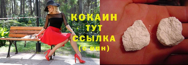PSILOCYBIN Верхний Тагил